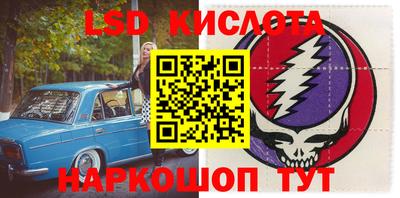 прущие грибы Ярославль