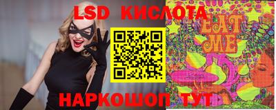 прущие грибы Ярославль