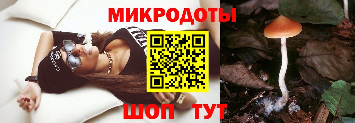 Рубцовск  Галлюциногенные грибы прущие грибы  Вход с VPN 