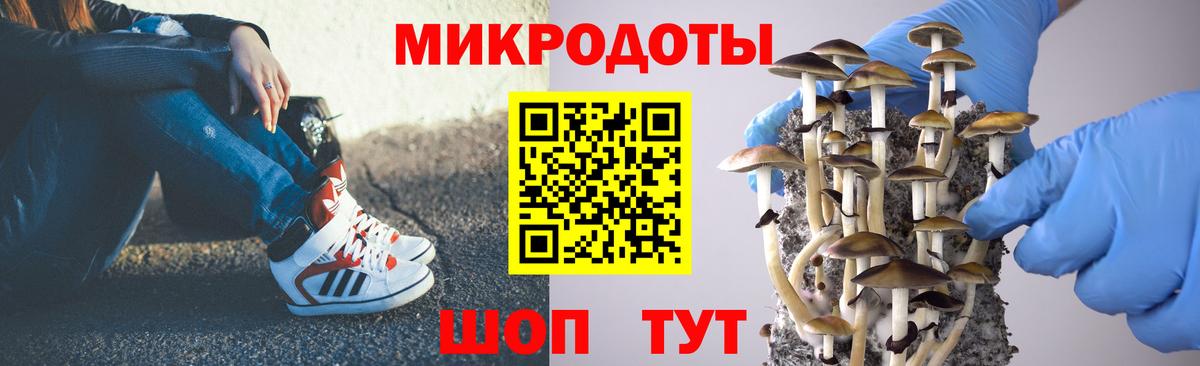 Галлюциногенные грибы Psilocybe Рубцовск